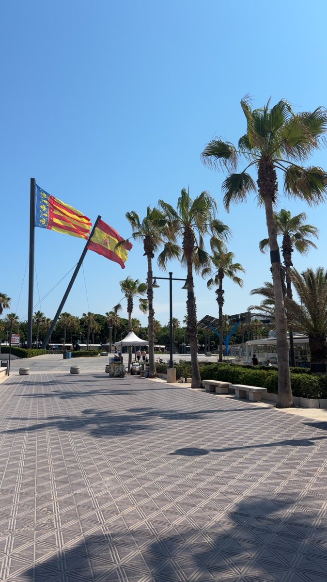 Saudmudd's tweet photo. Summer in Valencia 🇪🇸☀️☀️ https://t.co/CkXOZ0Ijxj
