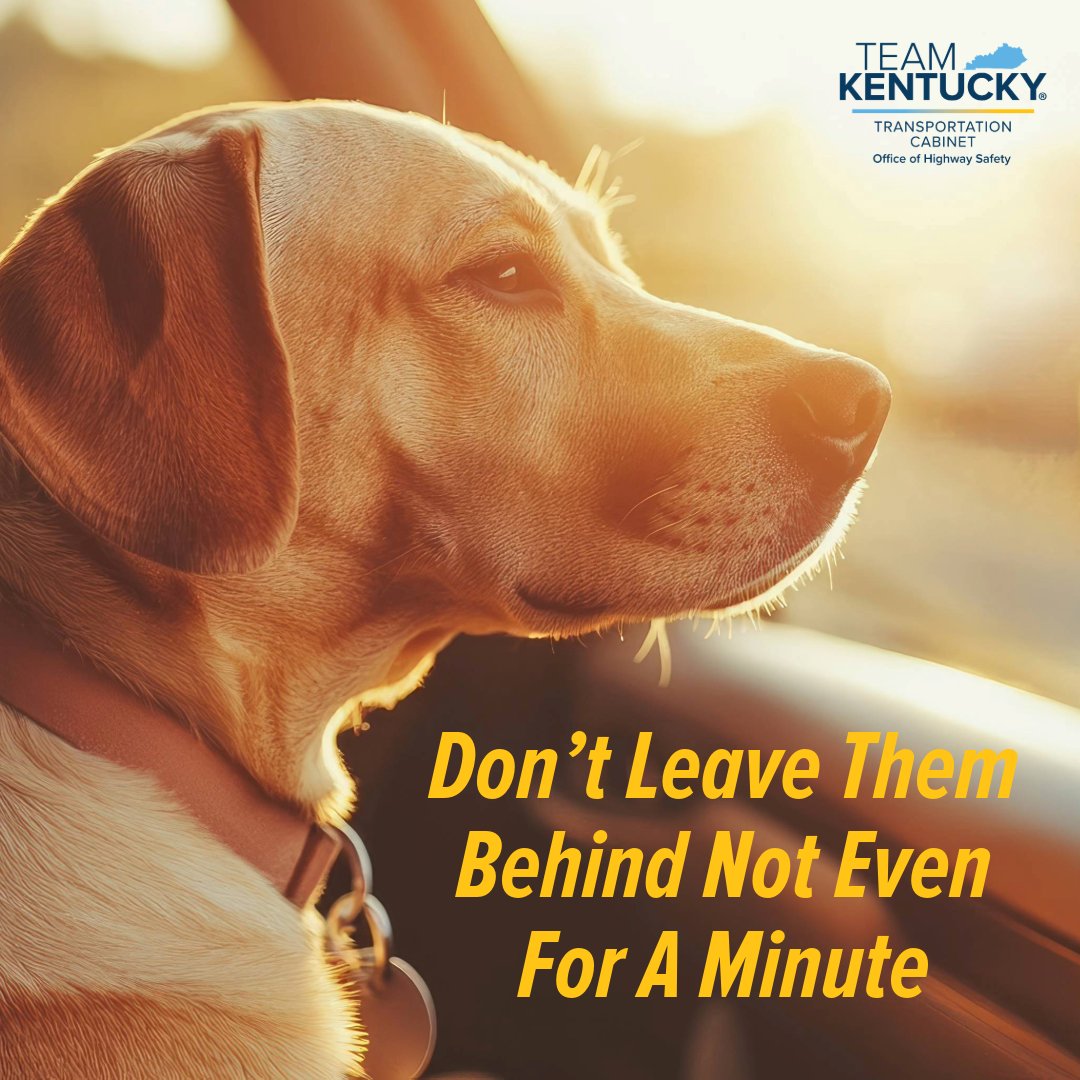 🚨 Heat can kill in minutes.
NEVER leave kids or pets in a parked car.
👀 Look before you lock.
#HeatKills #LookBeforeYouLock #NotEvenForASecond #KYHighwaySafety