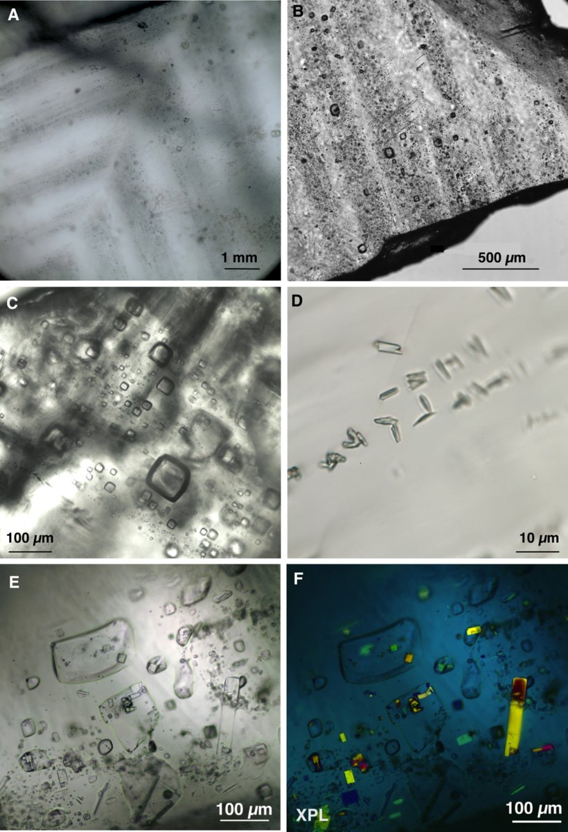 What can tiny salt crystals reveal about Earth—and Mars?

A new #GSABulletin study utilizes Permian halite from Kansas and North Dakota to decode ancient lake chemistry and refine our understanding of Martian water.

Read more: geosociety.co/4lbfte4
#Geology #GSAPubs