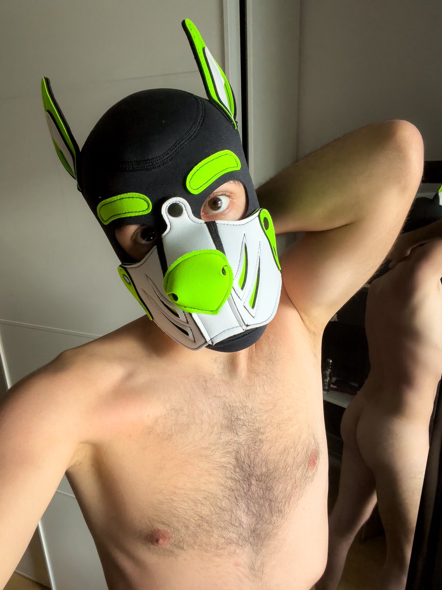 Evening light is just the best ✨
(And I’m so in love with my new hood, did I tell you I have a new hood ? I have a new hood btw 🥰)

Anyone else wanna take pictures with me at golden (sh)hour ? 

#gaypup #teamlocked