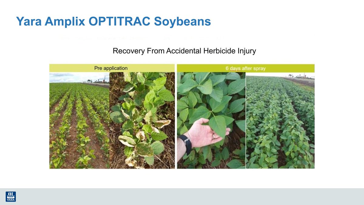 Taylor Jeffery tweet media