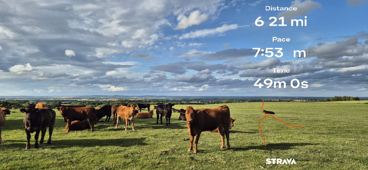 Evening miles on the rolling hills, with some spectators 👟