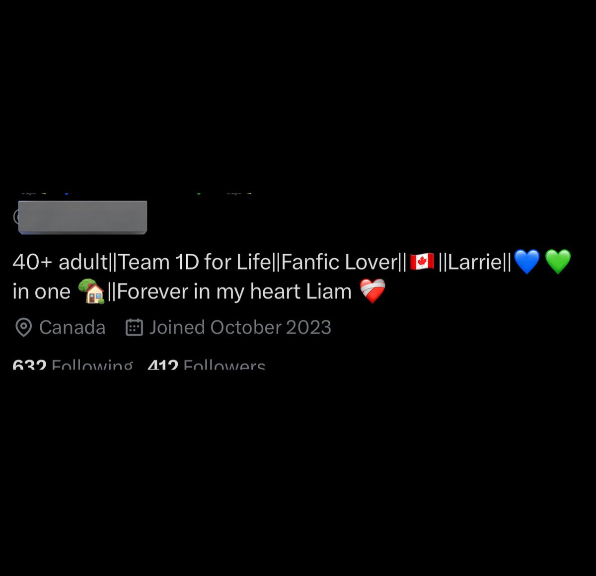 this is the scariest bio you can come across on stan twt