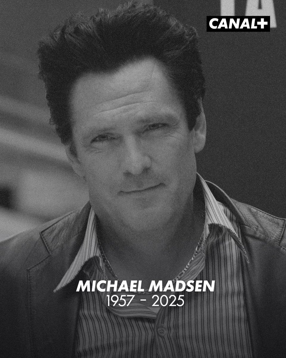 L'acteur Michael Madsen, notamment célèbre pour ses rôles dans "Reservoir Dogs" et "Kill Bill" de Quentin Tarantino, vient de s'éteindre à l'âge de 67 ans. 

© TIZIANA FABI / AFP