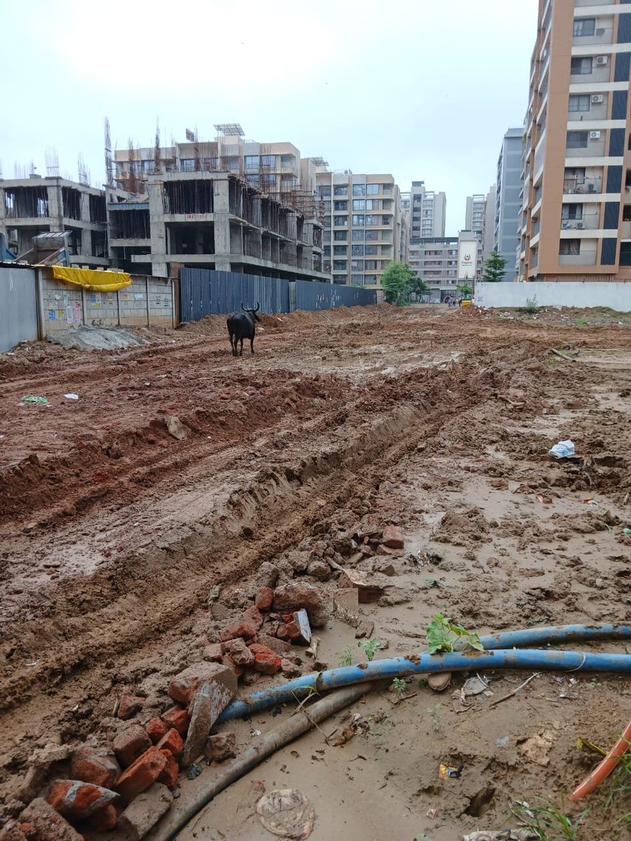 kevalgajjar7's tweet photo. 🚨 3 YEARS OF BETRAYAL BY GANDHINAGAR MUNICIPAL CORPORATION 🚨

@Bhupendrapbjp @CMOGuj @GandhinagarMC 
We are TAXPAYING citizens of Gandhinagar.  
living since 3+ YEARS.
Paid GUDA fees And yet — NOT A  SINGLE. PROPER. ROAD. has been built in inside TP-29 Sargasan. https://t.co/9o59dwWOWw