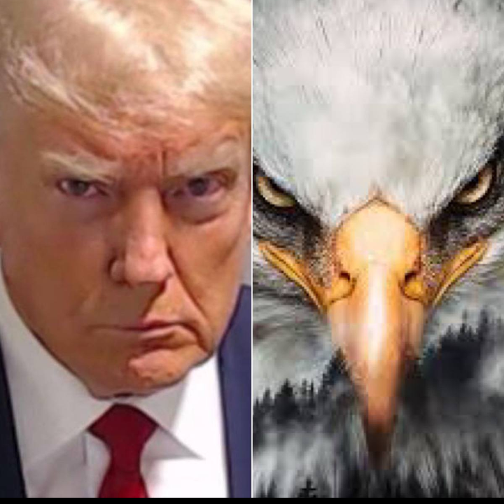 HarshRe87226461's tweet photo. A word from the bird is, "We are taking our country BACK"!

Stay on course. 

Ignore the distractions.

Keep it together.

Breathe.

😊

#PeacefullyAndLegally 

#TakinItBack 

🇺🇲❗️⚖️❗️🇺🇲 https://t.co/a6Lx2tTsRn