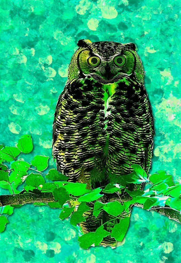 Cayden | Christie's | Blaze | Salvor 🔺🔥🌈🤖 tweet media