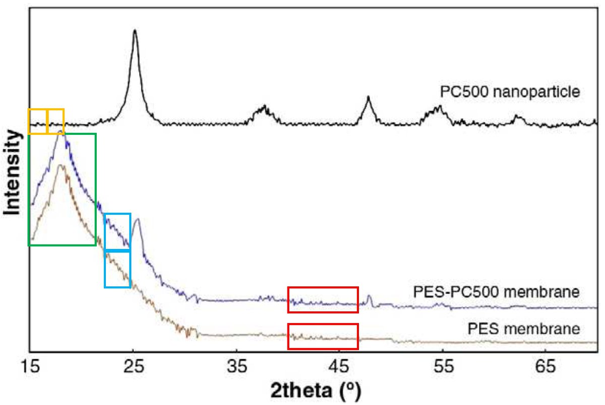 DayoMaor's tweet image. Can you belive that this "study" was cited 580 times?
pubpeer.com/publications/D…