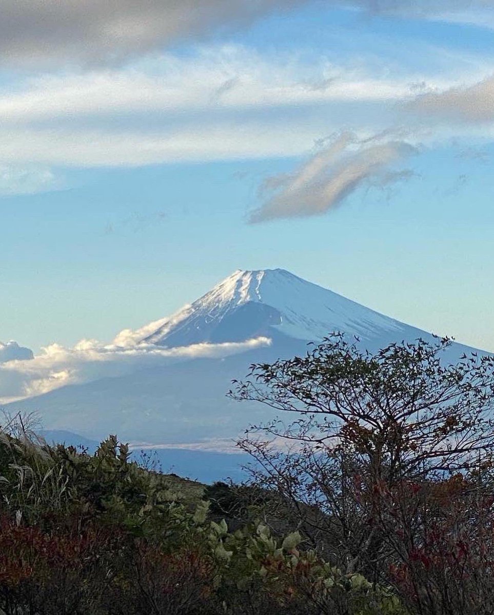 Progress_rental's tweet photo. 玄岳ドライブインを利用しませんか？
問い合わせお待ちしております。
注意事項をご参照の上お問い合わせ下さい！

#玄岳ドライブイン
#熱海
#伊豆スカイライン 
#廃墟
#バラエティ
#ドローンフィールド 
#サバゲー
#ドローン女子
#サバゲー女子 
#YouTube
#静岡
#富士箱根伊豆国立公園
#キャンプ場 https://t.co/hvNZPcFghC