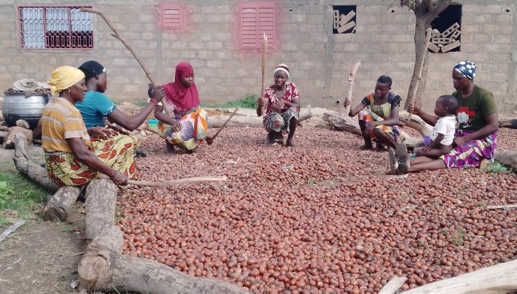 charaf_yarou's tweet photo. 🌍 Nord-Bénin 🇧🇯 : la sécheresse détruit l’#orVert des femmes rurales. Le karité meurt, leurs revenus s’effondrent. Sans aide, c’est l’exode.
👉 Appel aux autorités et partenaires :
✅ Protéger le karité (1) @UNBenin
@FAOBenin @UNICEF_Benin @CoumbaDSow @aminatousar @oddtvlive https://t.co/VKQ0kHGf6r