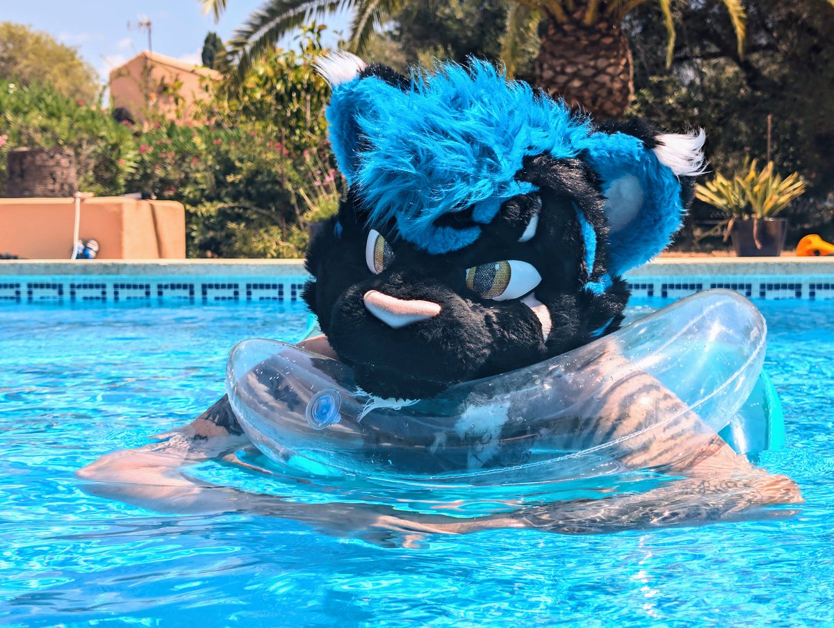 StormyPupCat's tweet image. Chilling hard rn

📷 @Counetail