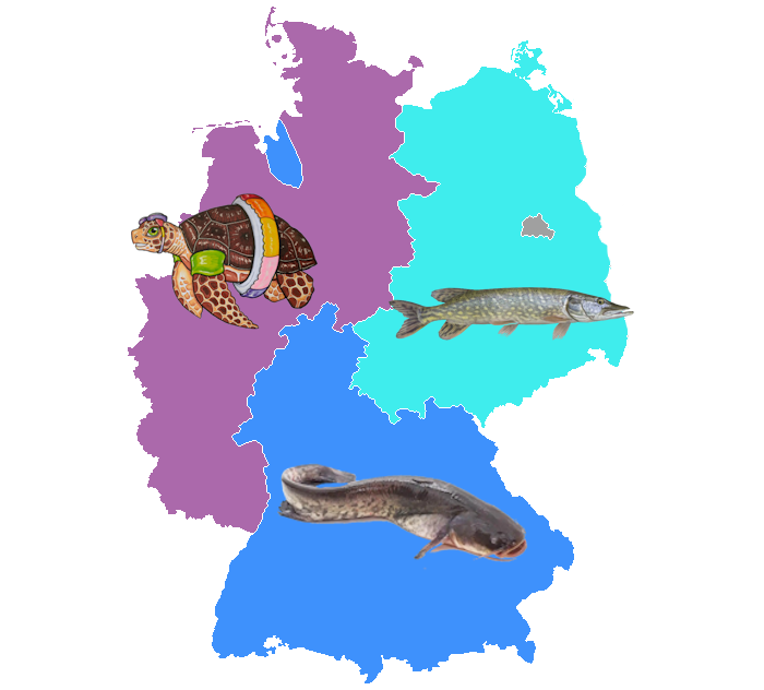 Lebkuchen-ens tweet media