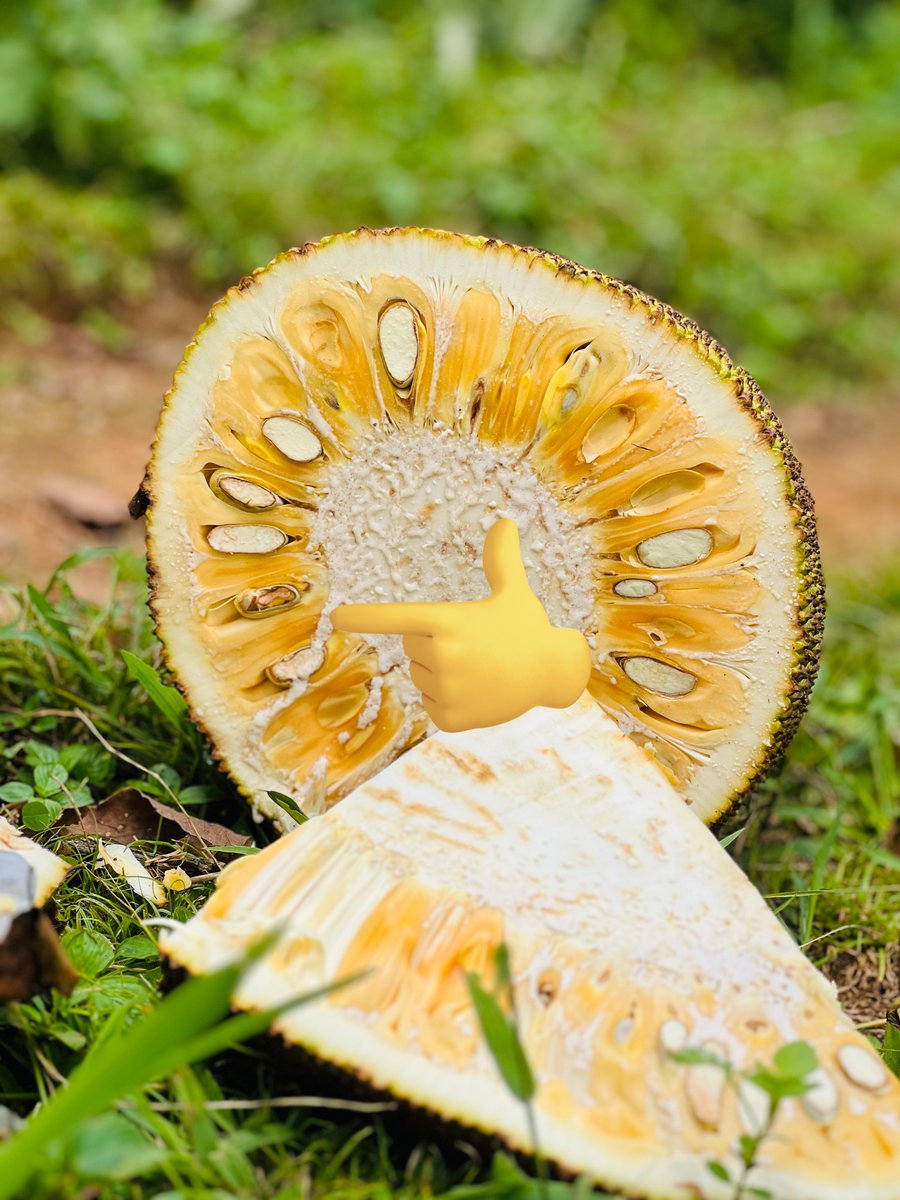 Marvin🪵Lule tweet media