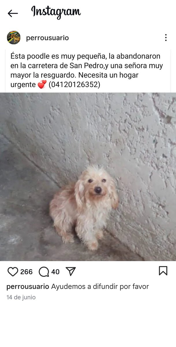 <a href="/PerroUsuario/">PerroUsuario Wof '•'</a>