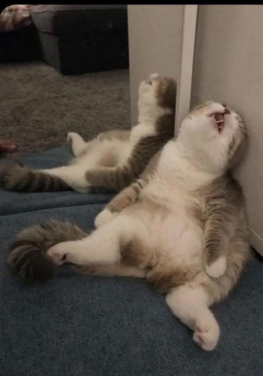 ao3 down i can’t keep living through these events