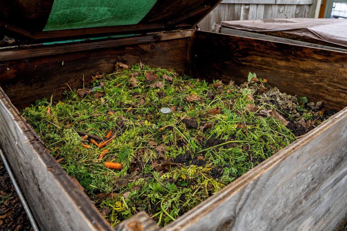 NspireMagazine's tweet photo. Home Composting 101

“Making your own compost is probably the most important and beneficial thing you can do for your organic garden. The success of your garden depends on the health of your soil, and the health of the soil depends on how you feed and amend it. Fertilizers can add both macro and micronutrients to the dirt, but nitrogen, phosphorus, potassium, and other nutrients are not typically in a form that can be readily ab-sorbed by the plants.”

By: S. Michal Bennet
Photography by: Joel Riner