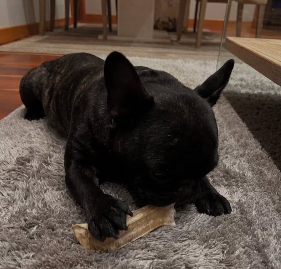 Coquito sarai sempre nel nostro cuoricino❤️‍🩹🥹