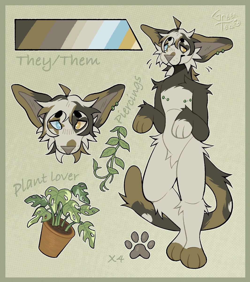 Greentea_cookies tweet media