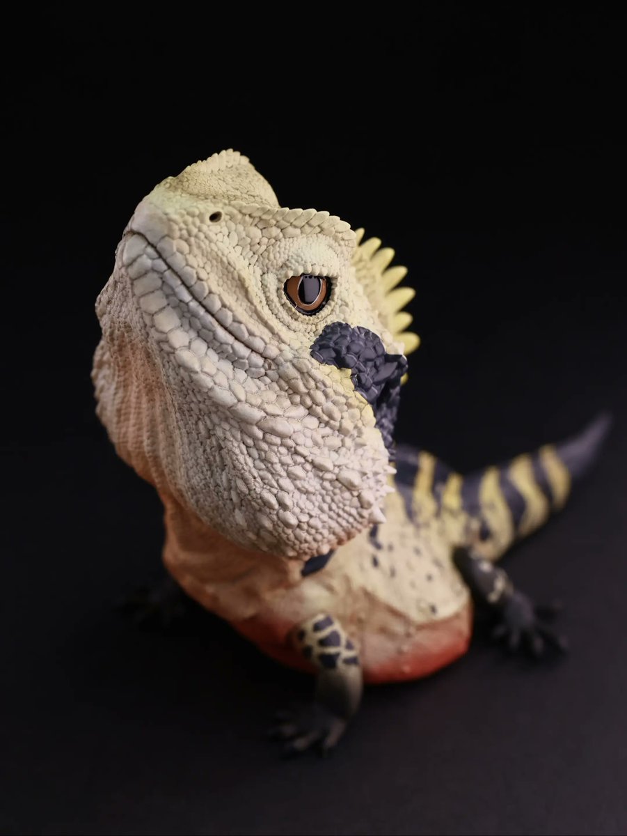動物の惑星 ヒガシウォータードラゴン(シークレット）