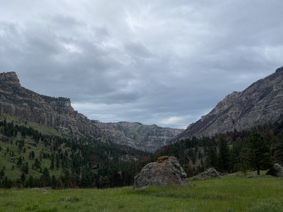 Tim Galles tweet media