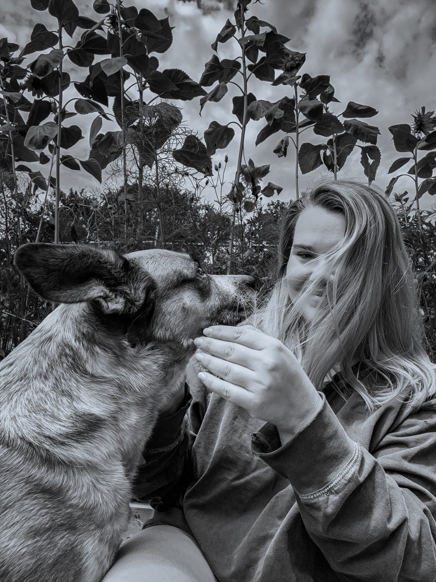 Ole Cowdog Photos tweet media