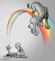 Ciao Coquito buon viaggio sul arcobaleno senza dolore 🐈‍⬛💔🌹un abbraccio fortissimo a te Oriana Mamma Cristina e Papà in questo momento difficile. Grazie Bebe' per il tuo grande amore che continua a guidarti da lassù forza e coraggio ♥️♥️♥️🐈‍⬛💔🌹#OrianaMarzoli