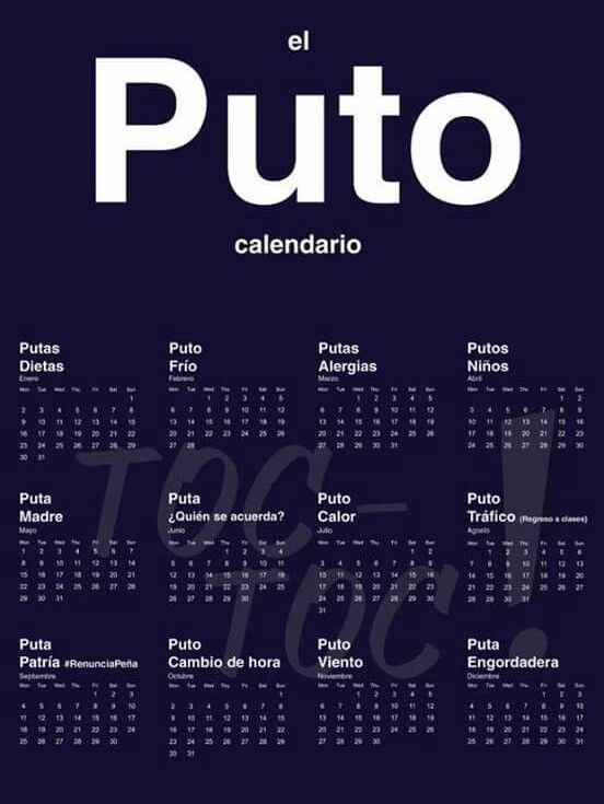 𓆩 luis 𓆪 tweet media