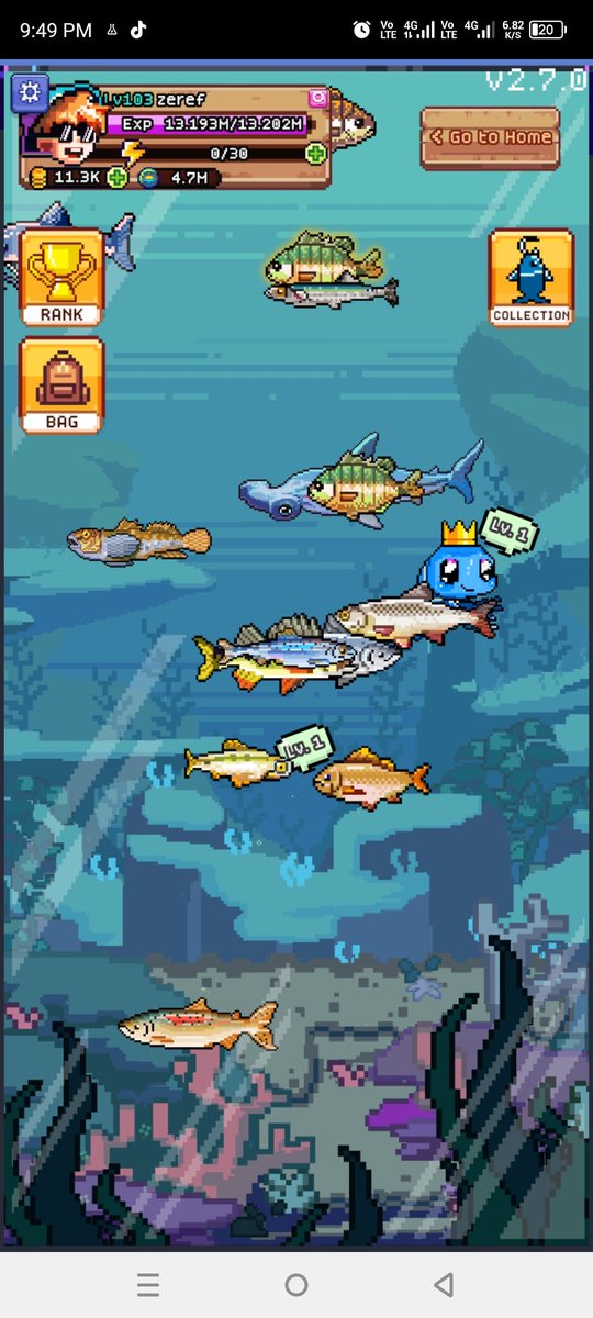 Aquarium shiny fish exp
Anchovy/Carp 80
Minnow 100
Goby 180
Herring 240
Bluegill 360
Bream 600
Small Bass 1.8k
Walleye 2k
Baramundi 2.5k
Perch 2.8k
Chub 3.4k
Flounder 5.8k
Mahi 6k
Tuna 8k
Marlin 8.8k
Catfish 10K
Shark 11.2K
Sturgeon 12K
Lobster 64K
Frog 96k
<a href="/FishingFrenzyCo/">Fishing Frenzy</a>