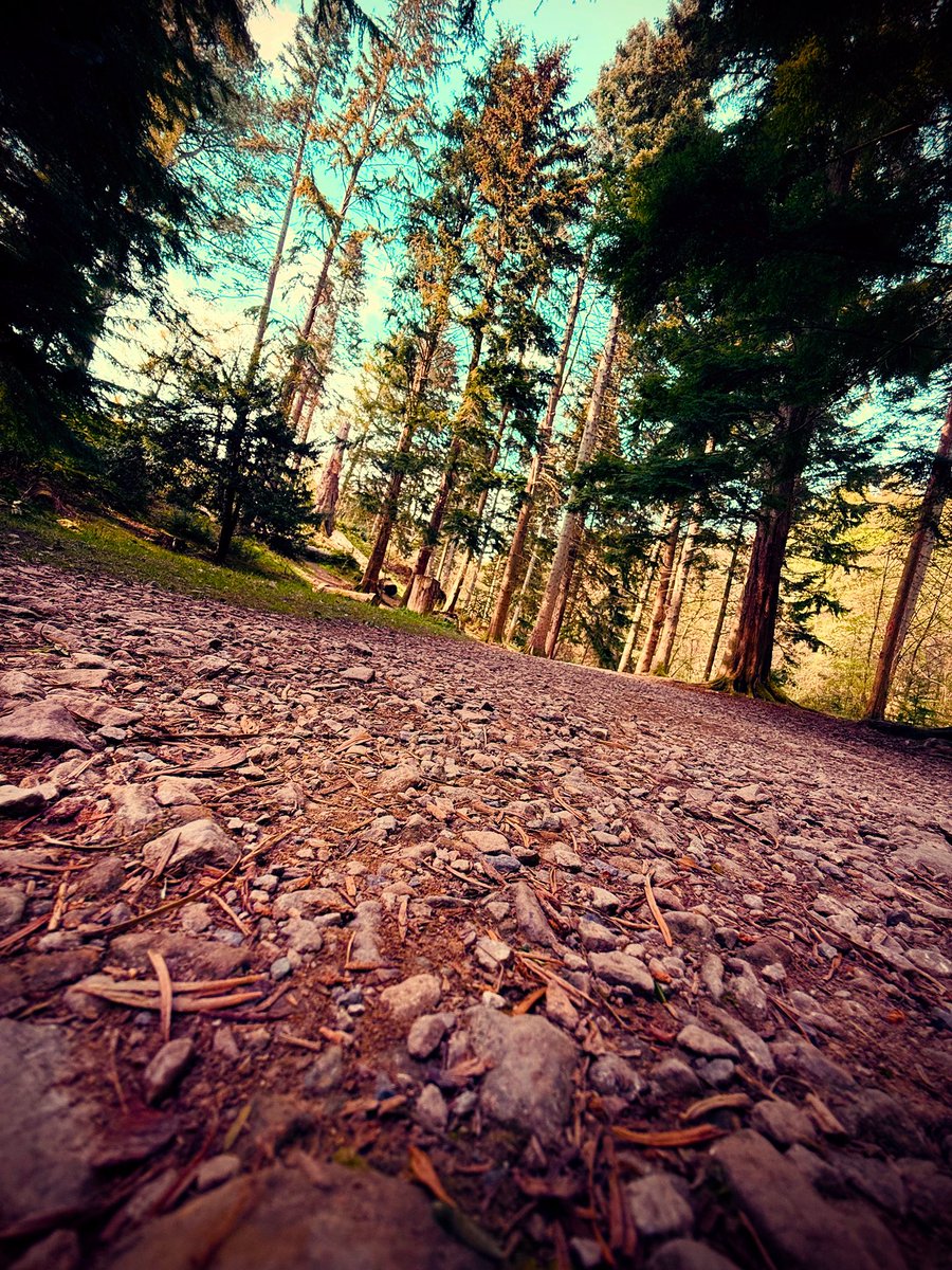 Just realised I’m now the same age #BillBryson was when he walked the Appalachian Trail.
Guess you’re never too old to do something truly stupid in the name of adventure.
Motorbike? Paddleboard? Hike? Tattoo? Who knows.
My wife will definitely hate it though 😅
#MidlifeCrisis