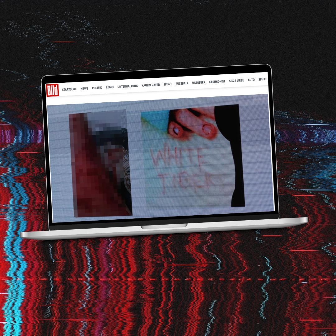 ☠️Wieder einmal wird die Cyberkriminalität als Vorwand für die Einschränkung der Sozialen Netzwerke genutzt...

kraut-zone.de/white-tiger-di…