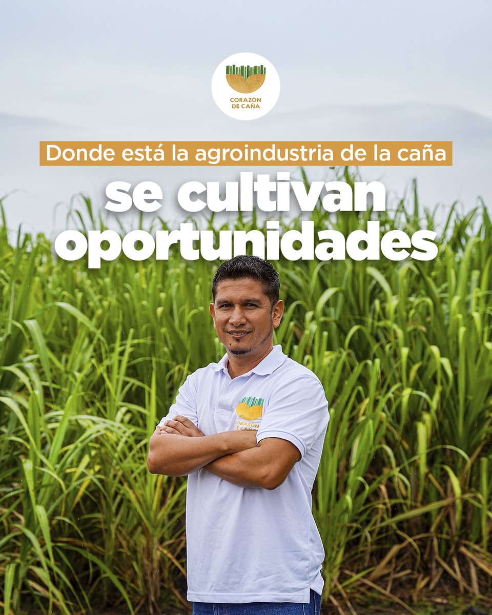 Aquí se cultiva caña y miles de sueños. 🎋✨

Más de 286 mil personas trabajamos con compromiso en esta agroindustria que mueve el campo, genera empleo y construye región. 💪🏼

#DondeHayCañaHayProgreso