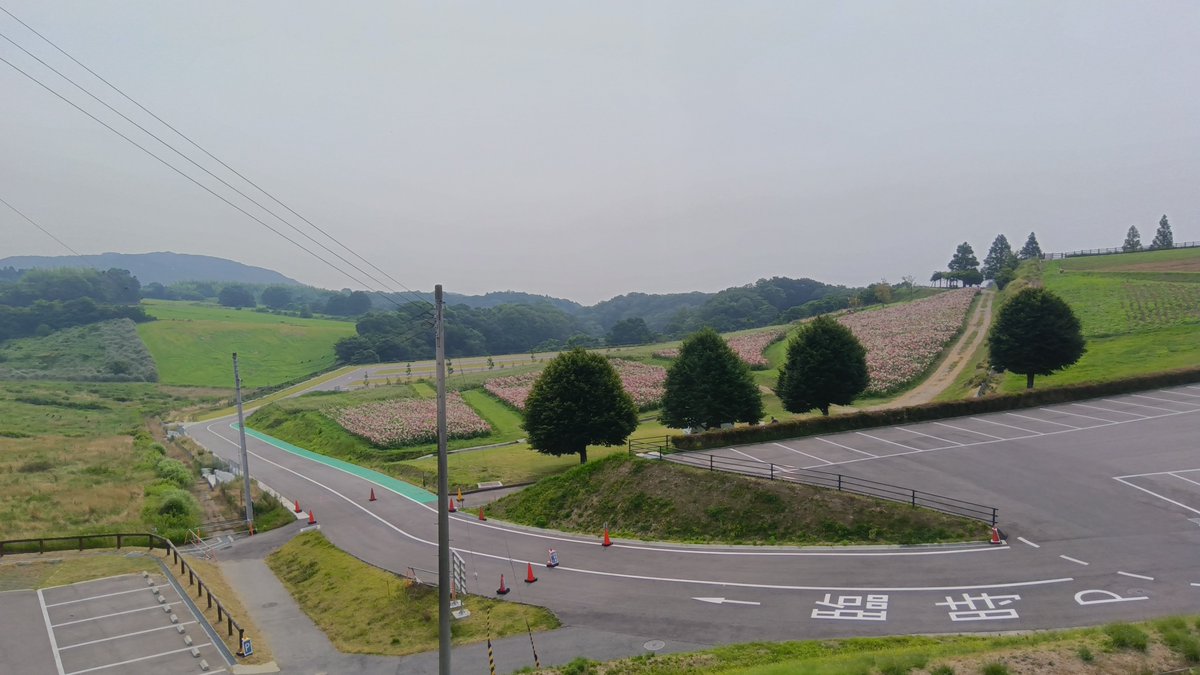 北淡散策（Hokudan🌷淡路市 旧北淡町）
①②北淡町役場・警察署の廃墟（2018年閉鎖）…部落差別撤廃宣言の町　役所の廃墟は興奮します🌿　以前は北淡富島へも明石から船が出てたらしい🛥️
③北淡震災記念公園　野島断層🌋
④あわじ花さじき🌺…休園日　ここ見るために山登りしたのに🥹