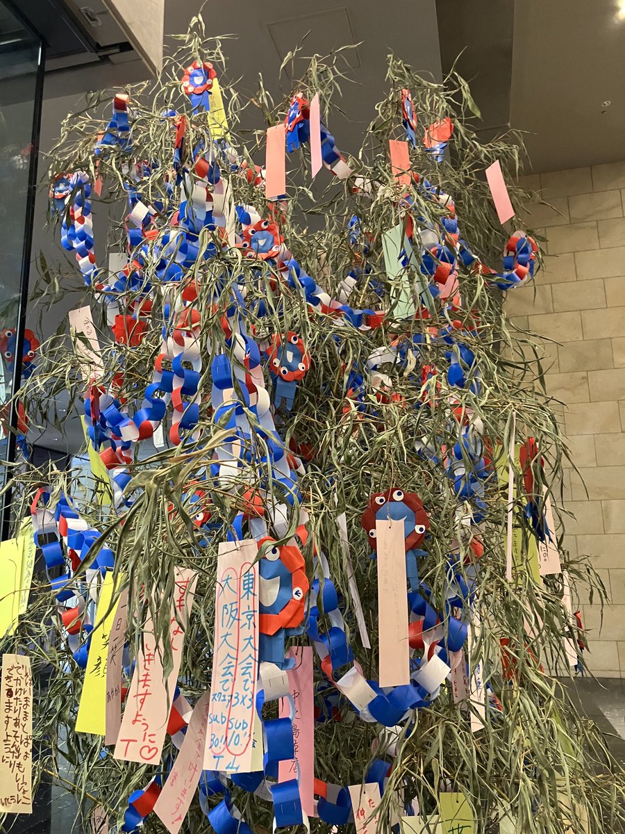t_yamacuber1313's tweet image. 七夕のミャクミャク笹飾りに願い事書いてきましたー😊🎋
東京大会で3、sub10！！の前にまずは参加できますように✨
#七夕