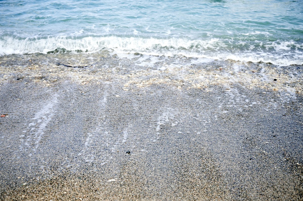 agendapropiaap's tweet image. 🌊| “Somos los mismos, con un poco de diferencias en el acento y algunas costumbres, pero somos un solo pueblo, como la mar lo es con sus diferencias de colores”, Miladys Arteaga, mujer Gunadule 🇨🇴-🇵🇦.
Ingresa: ⬇️
agendapropia.co/articles/selva…