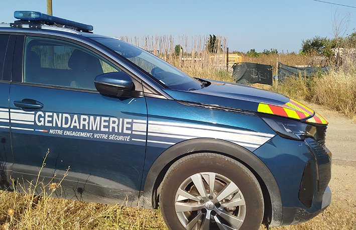 Alliance Anticorrida (@anticorrida) on Twitter photo Avec les gendarmes et la DDPP, la présidente de l'Alliance <a href="/Anticorrida/">Alliance Anticorrida</a> s'est rendue à l'élevage qui détient six chiens dans des conditions indignes. Le propriétaire lui a refusé l'accès. Il a indiqué cesser son activité. Les chiens seront placés dans des familles par son Avec les gendarmes et la DDPP, la présidente de l'Alliance <a href="/Anticorrida/">Alliance Anticorrida</a> s'est rendue à l'élevage qui détient six chiens dans des conditions indignes. Le propriétaire lui a refusé l'accès. Il a indiqué cesser son activité. Les chiens seront placés dans des familles par son