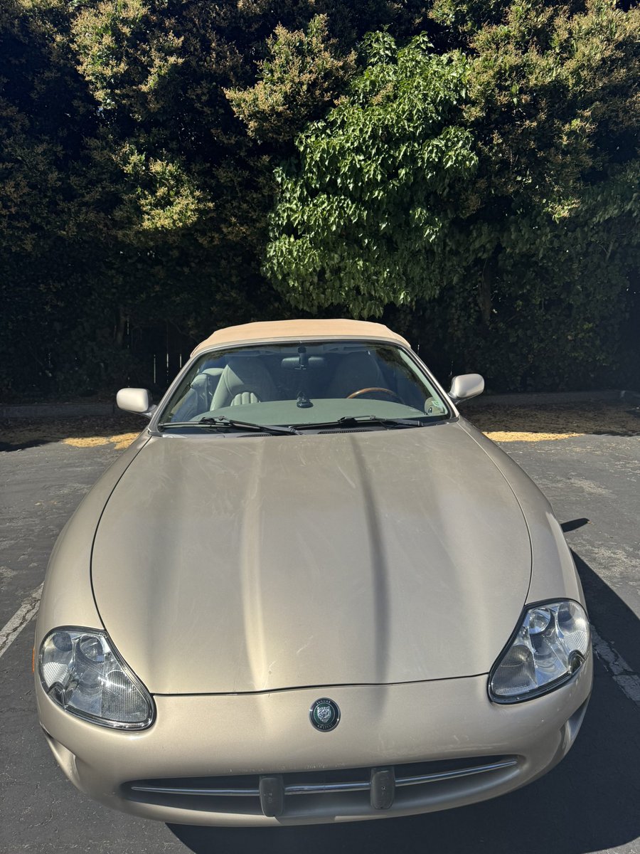 0xMister tweet media