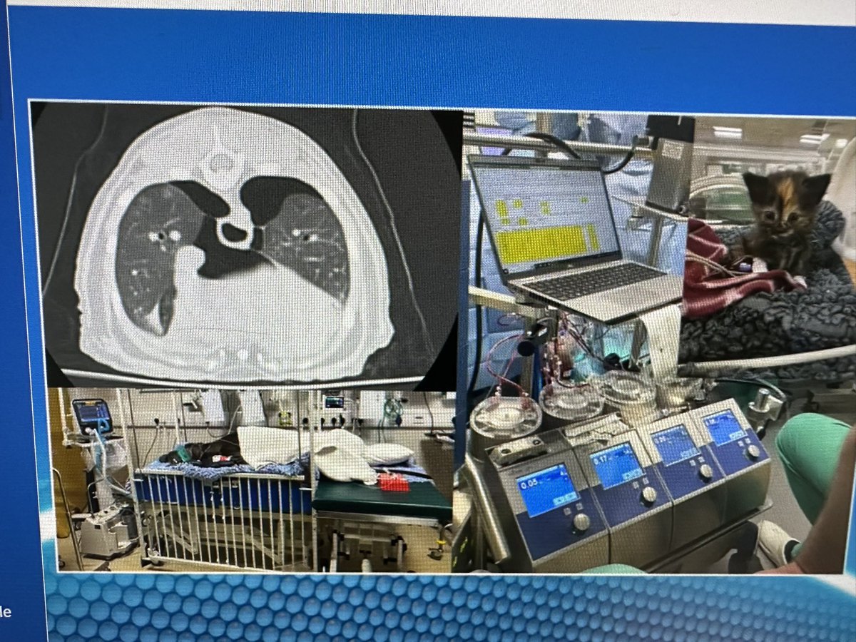 derekmcl tweet media