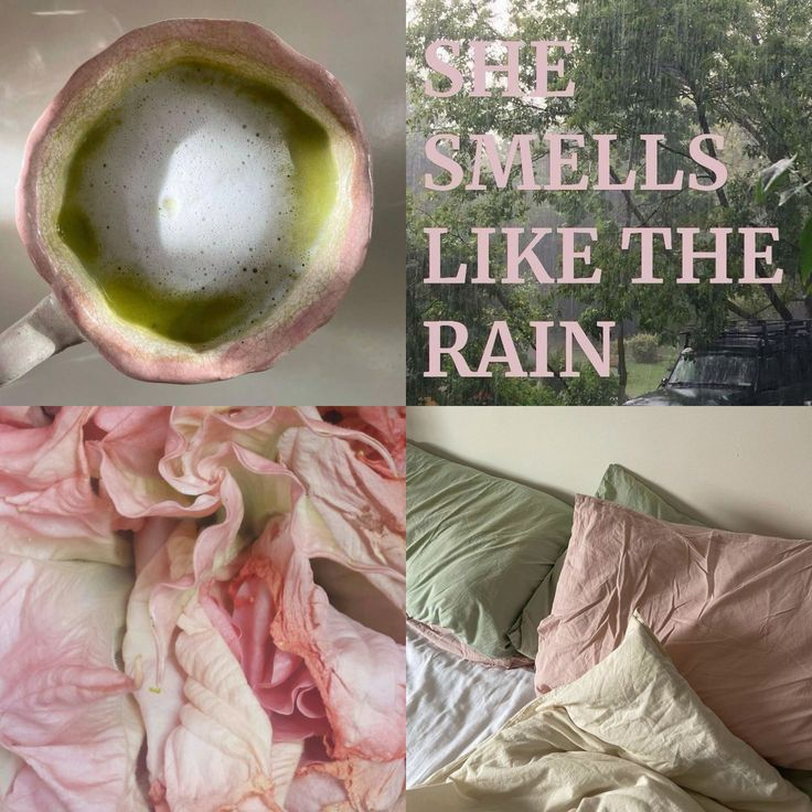 rose ୨ৎ tweet media