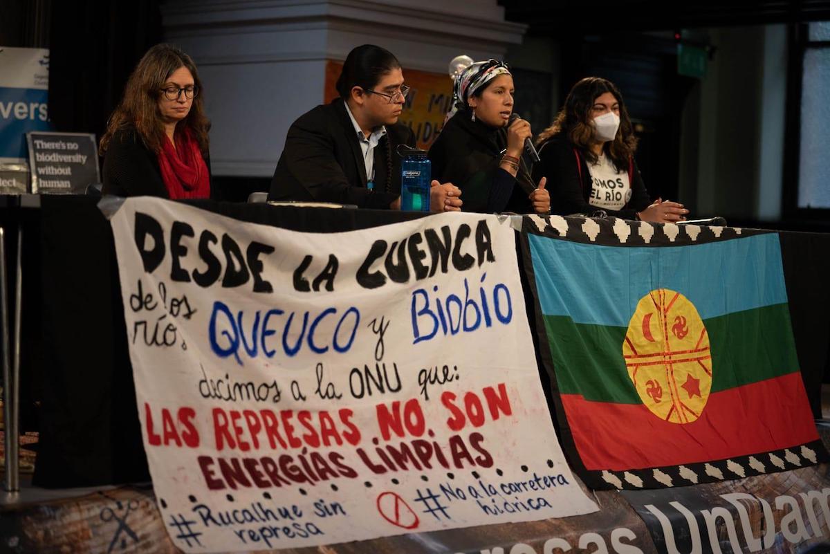 agendapropiaap's tweet image. 💦| El cuidado del agua es parte del saber ancestral y el desarrollo de la vida Mapuche en el Alto Bío Bío, en #Chile 🇨🇱. Jóvenes buscan frenar proyectos de un bosque nativo invadido por monocultivos forestales. 🌳
📱Revive la historia:
bit.ly/DefensaRío-Bío…