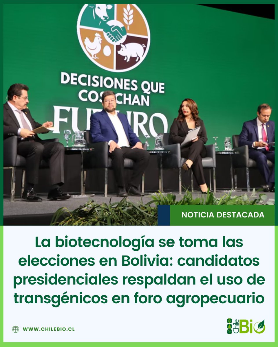 Mientras en #Chile el debate sobre #transgénicos sigue estancado, en #Bolivia el agro y la #biotecnología entran de lleno en la agenda presidencial, con propuestas concretas y respaldo político transversal.

bit.ly/44hX1ZO #agricultores #OGMs #biotech