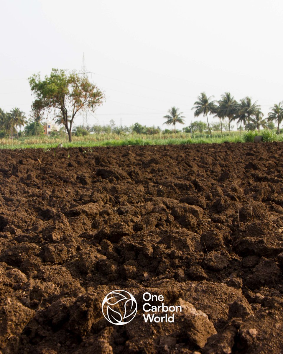 🌍 Soil as a Carbon Sink 🌱 Did you know that soils store more carbon than the atmosphere and all living plants combined? By restoring soil health through regenerative farming practices, we can significantly boost carbon sequestration and mitigate climate change.