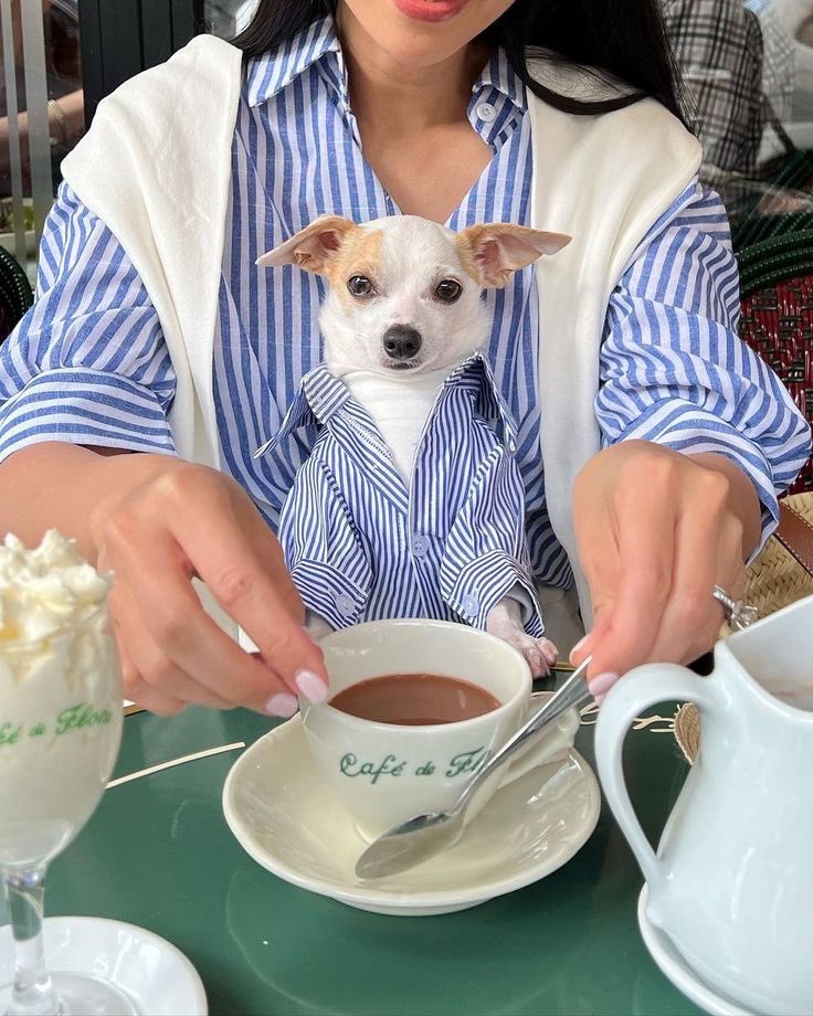 💖 (@twaniimals) on Twitter photo 