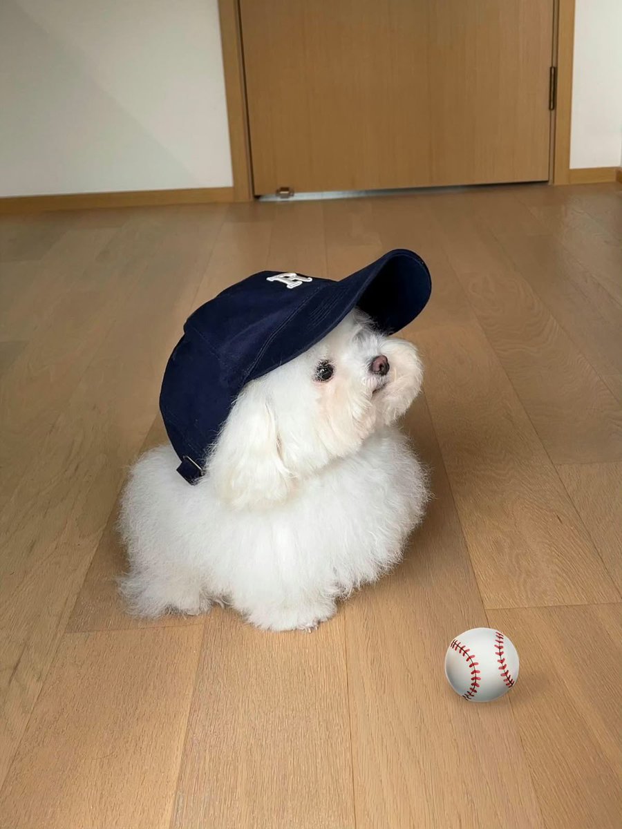 twaniimals's tweet image. 