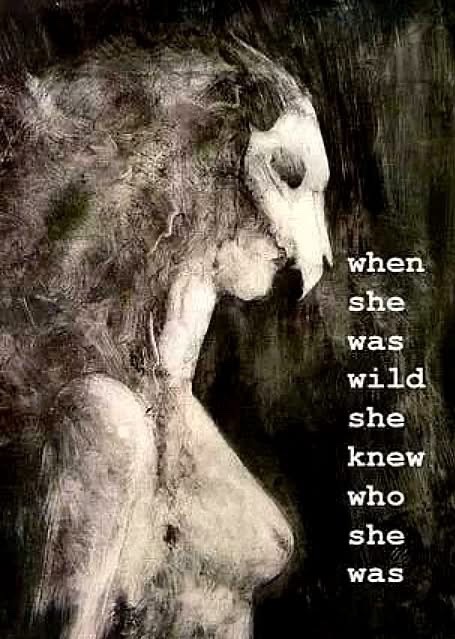 "She Was Not Tamed"

She walked with briars in her hair, mud on her knees, blood on her lip.

The trees knew her name,
not the one they gave her,
but the one she tore
from the throat of the wind.

She did not ask.
She did not yield.
She remembered the howl
and called it home.