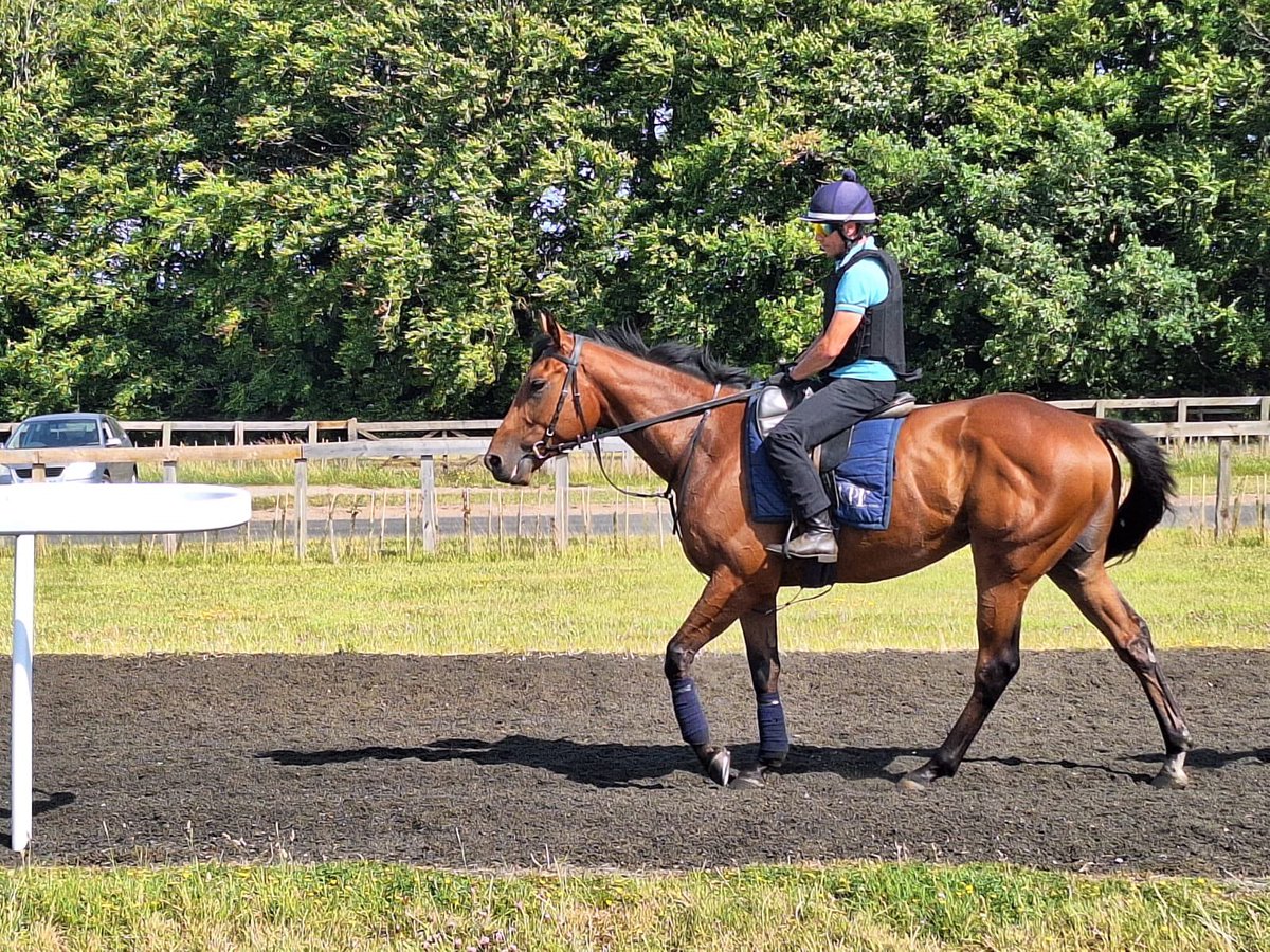 Crest Racing (@crestracing1) on Twitter photo Kind Of Kiss runs in the 6.58pm <a href="/kemptonparkrace/">Kempton Park Racecourse</a> for <a href="/kpfracing/">Kevin Philippart de Foy Racing</a> <a href="/PBradley24/">Paddy Bradley</a> takes the ride.
Good luck to all owners & connections Kind Of Kiss runs in the 6.58pm <a href="/kemptonparkrace/">Kempton Park Racecourse</a> for <a href="/kpfracing/">Kevin Philippart de Foy Racing</a> <a href="/PBradley24/">Paddy Bradley</a> takes the ride.
Good luck to all owners & connections