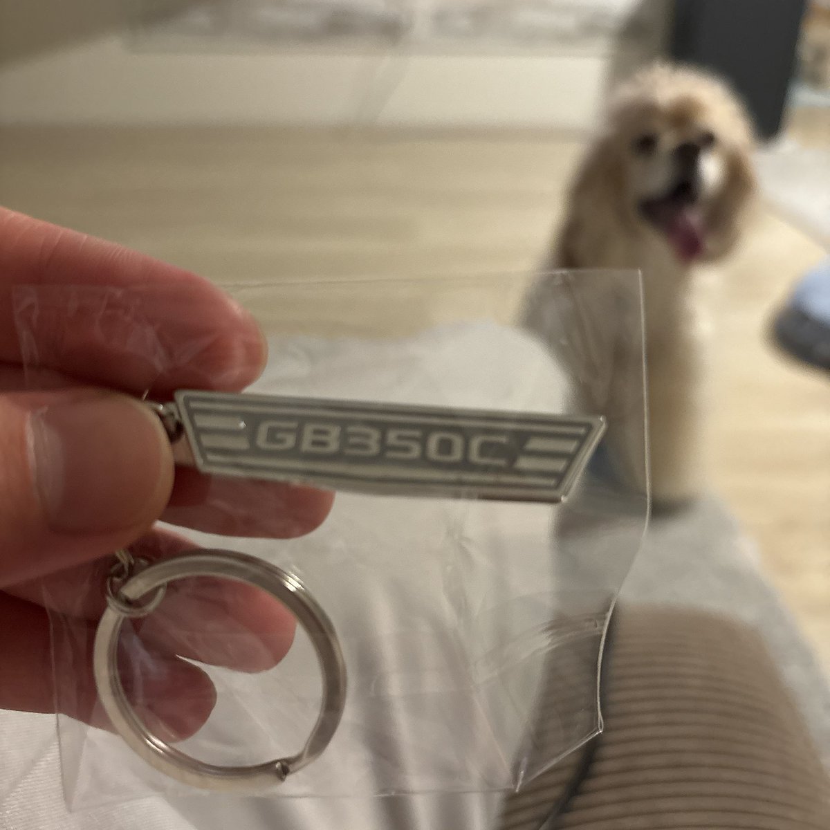 ガチャガチャ
4回目でゲット…！！！！
 #GB350c 
 #プコブルー
今月中旬納車…!!!!    ﾜｸﾜｸ