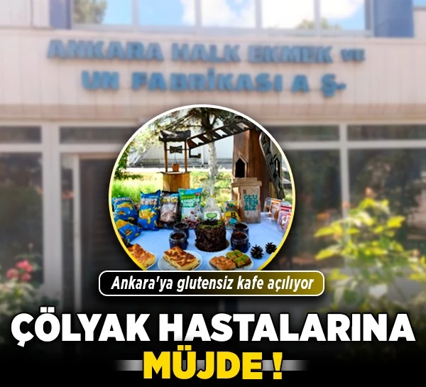 yeniankara.com.tr (@yeniankaracomtr) on Twitter photo ÖZEL| Çölyak hastalarına müjde! Ankara'ya glutensiz kafe açılıyor <a href="/ipekncakr/">ipek</a>'ın haberi. <a href="/abbbasin/">Ankara Büyükşehir Basın</a> <a href="/abbhalkekmek/">Ankara Halk Ekmek</a> yeniankara.com.tr/guncel/colyak-… ÖZEL| Çölyak hastalarına müjde! Ankara'ya glutensiz kafe açılıyor <a href="/ipekncakr/">ipek</a>'ın haberi. <a href="/abbbasin/">Ankara Büyükşehir Basın</a> <a href="/abbhalkekmek/">Ankara Halk Ekmek</a> yeniankara.com.tr/guncel/colyak-…