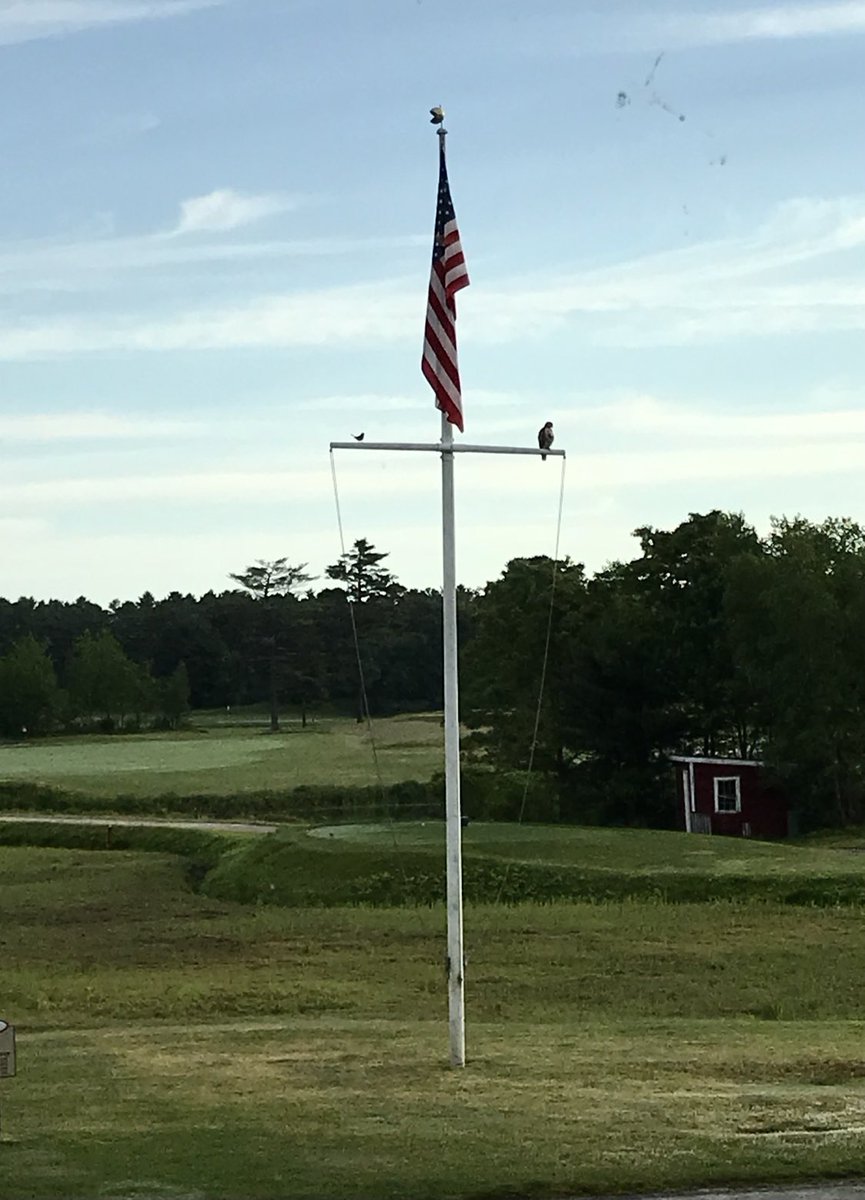 Happy Fourth everyone!
Special hours
July 3 - golf is business as usual but the Barn will close at 6. 
July 4 - tee times for golf from 6-10 and the Barn is closed. 
Have a great weekend and be safe!