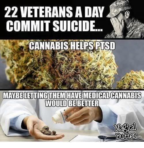 We should do all we can for our Veterans!  #Cannabis #LegalizeIt #CannabisCommunity #Mmemberville