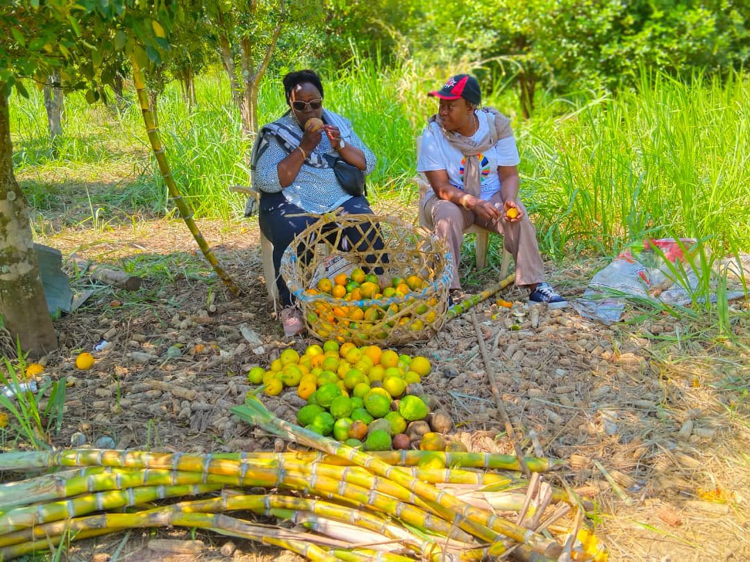 Christine MWANDO Katempa tweet media
